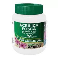 Tinta Acrílica Fosca 250ml Branca 519 Acrilex Kit 3un