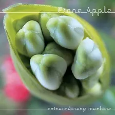 Fiona Apple Extraordinary Machine Cd Nuevo Importado