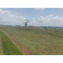 Se Vende Finca En Valparaíso