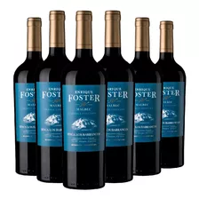 Vino Enrique Foster Single Vineyard Los Barrancos - Caja X6