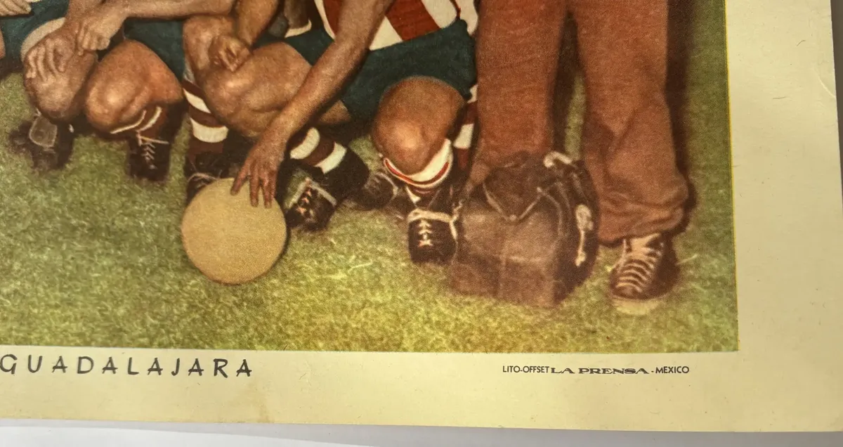 Miniatura 5