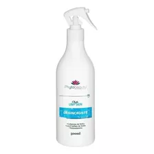 Fluido De Limpeza Desincruste Phytobeauty - 500ml Momento De Aplicação Dia/noite Tipo De Pele Acne