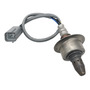 Fwefww Sensor De Presin De Aceite Para Nissan Sentra Nissan SENTRA E