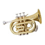 Primera imagen para búsqueda de trompeta