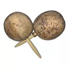 Maracas Naturales Sonajas Guaje Azteca Danza Prehispanica 