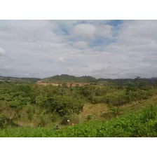 Venta Terreno De 71 Hectáreas Para Proyecto Residencial En Corredor De Los Pobres, Panamá Norte