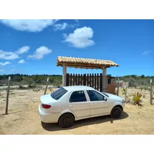 Lotes De 10 X 50 ( 500m2 ) Em Coqueiros De Arembepe. 