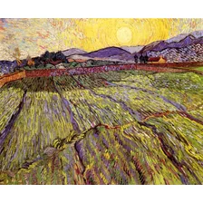 Campo Cercado Com Sol Nascente De Van Gogh Em Tela 70cmx55cm