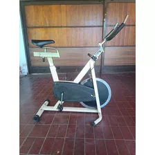 Bicicleta Estatica - Spinning - Mendoza - Usada