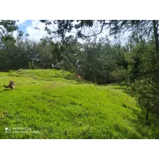 Lote En Santa Rosa De Osos Via Don Matias