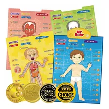 Juego Educativo Body Póster Interactivo De Anatomí Fr80jc