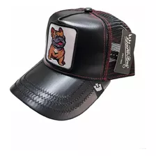 Gorra Goorin Bros Black Dog