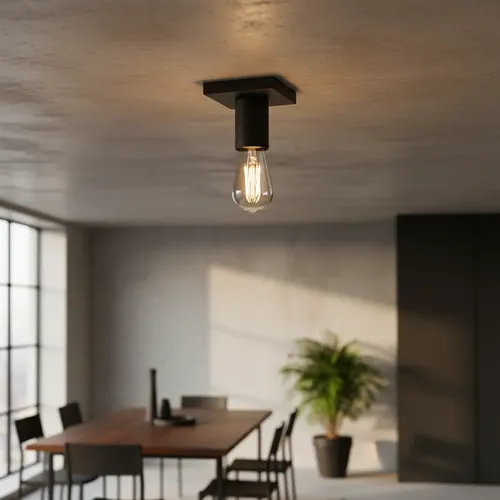 Plafón de techo Ferrara 1 luz E-27 - Negro texturado