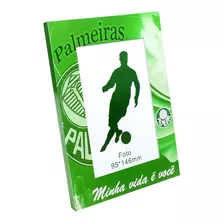 Porta Retrato De Alumínio Para 1 Foto 10x15cm - Palmeiras