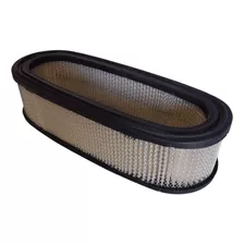 Filtro De Aire Briggs & Stratton Bs 394019