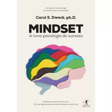 Livro Mindset