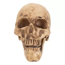 Cráneo Humano De Resina, Mandíbula Articulada Para Santería