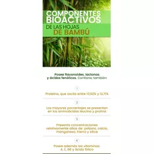 Aceite Natural Bambu Macerado Oral Y Externo Plantasi 100 Ml