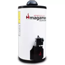 Magamex 38 Lts Automatico Arturito Ecologico Msi Color Blanco Tipo De Gas Glp