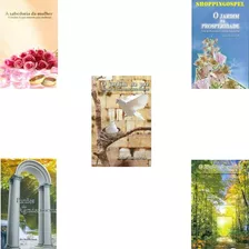 O Jardim Da Paz + Coleção 5 Livros Rabino Shalom Arush