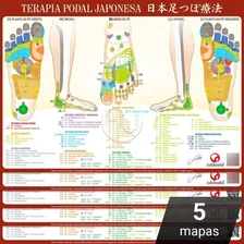Mapa Terapia Podal Japonesa Reflexologia Podal A4 - 5 Un