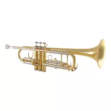 Trompete Em Sibemol - Vincent Bach Btr211