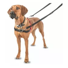 Halti Arnes Medium Control Frontal Perro Mediano