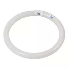 Lâmpada Fluorescente Circular Biv 32w T9 Brasfort 6400k Cor Da Luz Branca 110v/220v (bivolt)