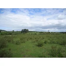 Campo En Venta En Lavalleja. 37 Hectáreas.