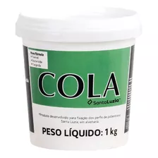 Cola Para Moldura 1kg Santa Luzia