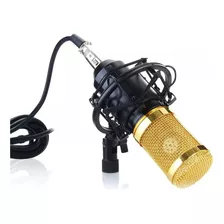 Microfono Profesionalcon Brazo Plegable Y Filtro Condenser Color Plateado