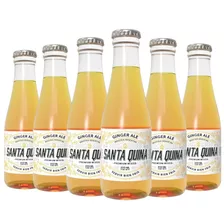 Santa Quina Ginger Ale Vidrio 200ml X 6 Unidades
