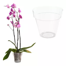 Maceta Orquidea Transparente Hecho En España 1.1l 14cm Ø