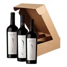 Pulenta Coleccion Estuche X3 Malbec-cab Sauvignon-blend