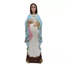 Imagem Nossa Senhora Grávida Resina Mãe De Jesus 15cm Pda