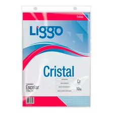 Liggo 27363 Folios N°3 Cristal 40 Mic. X10