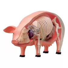 Anatomia Do Porco 4d Master Med
