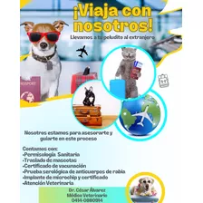 Tramites Sanitarios Para Mascotas Que Viajen Fuera Del País