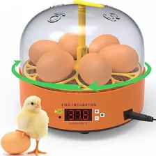 Mini Incubadora Chocadeira Ovos Galinha Pato Semi Automática 110v/220v