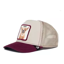 Gorra Original Goorin Bros | Animal Farm | Perro Chiuahua