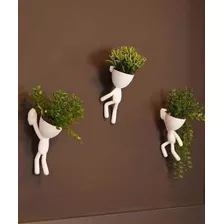 Macetas Macetero Cactus Suculenta Set X 3 Robert Plant Pared