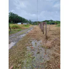 Vendo Precioso Lote Cerca De 20 Playas Paraisíacas