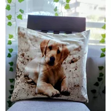 Funda Para Cojin Perrito