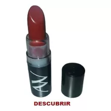 Artez Westerley Labial Varios Tonos Color Descubrir