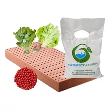 02 Kit Para Hidroponia Sementes Peletizadas Espuma Nutriente