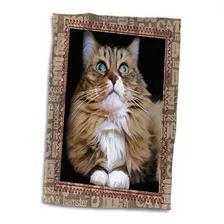 Toalla 3d Rose Fred The Cat, 15 X 22