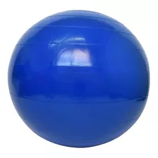 Pelota Esferodinamia 55cm Lmr Deportes