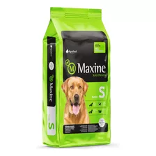 Comida Perro Maxine Senior 21kg + *