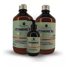 Kit Vitamine B5 Phantenol 3 Itens Shampoo, Máscara, Leave In