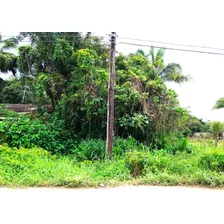 Terreno Para Venda Na Praia No Litoral Sul, Em Itanhaem Direto Com Proprietario